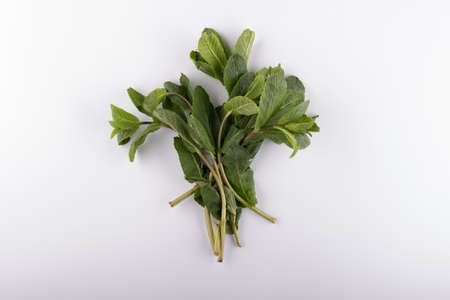 fresh mint leaves isolated on white background. close upの写真素材
