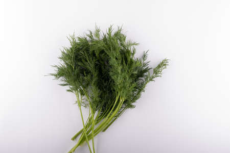 bunch of fresh urocup close-up on a white backgroundの写真素材