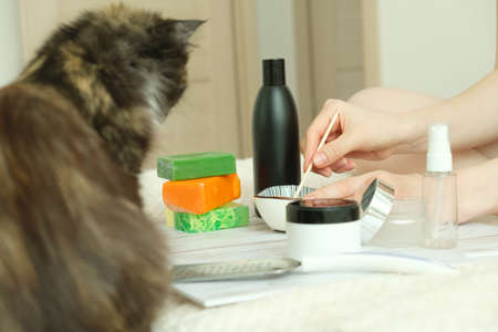 DIY cosmetics. Female hands create a cream of different ingredients. A cat nearby is watching the mistress.の写真素材