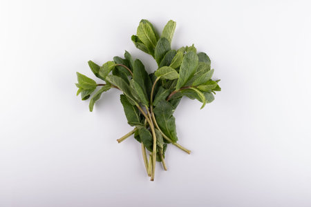 fresh mint leaves isolated on white background. close up