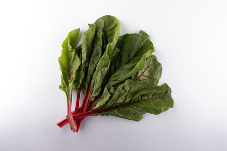 a bunch of fresh beet leaves close up on a white background