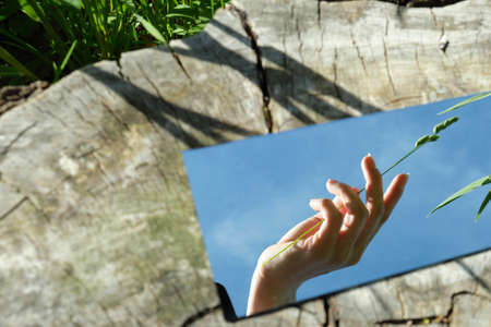 The female hand is holding a flower in the mirror.の写真素材