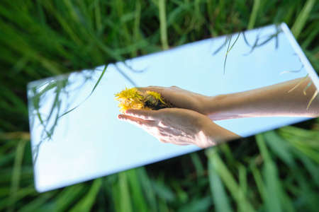  abstraction. in the mirror are male hands, dandelions sky. green nature around. close-upの写真素材