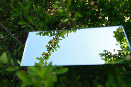 abstraction. the mirror displays the sky and yellow flowersの写真素材