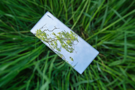 The mirror displays the sky and yellow flowersの写真素材