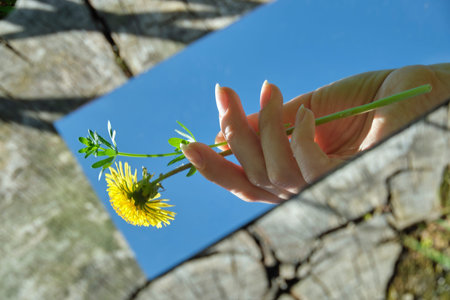 abstraction. The female hand is holding a flower in the mirror. In the background is a wood texture....