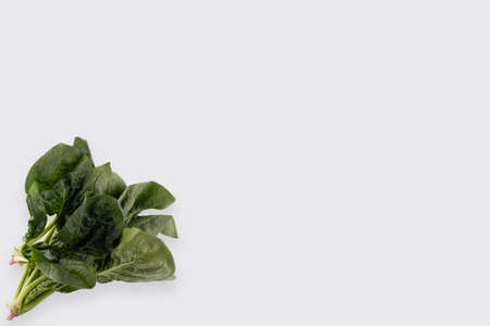 green leaves of spinach isolated on white backgroundの写真素材