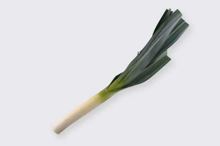 fresh leek stalk close up on white backgroundの写真素材