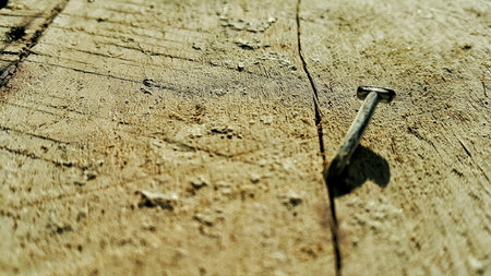 Tack at wood