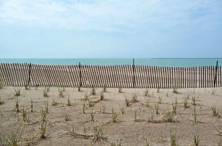 Shore grass planting projectの写真素材