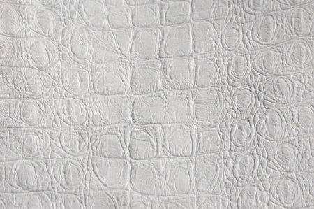 Crocodile leather.の写真素材