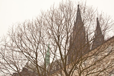 View of St. Vitus Cathedral in Prague Castle, Czech Republicの写真素材