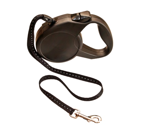Retractable leash for dog isolated on white background の写真素材