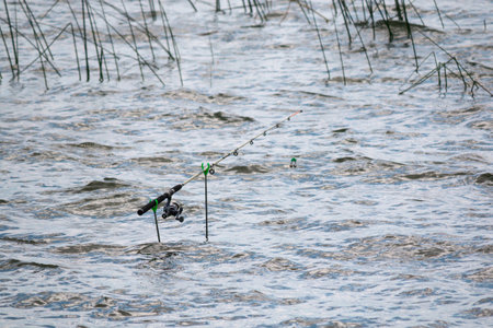 Fishing gear in anticipation of big fish