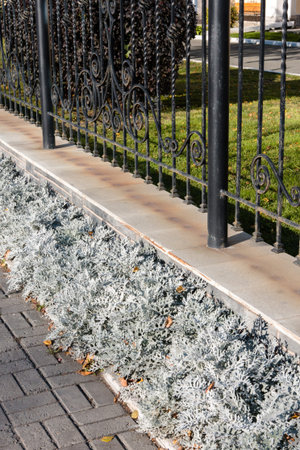 lawn with ornamental plants and flowers about metal fenceの写真素材