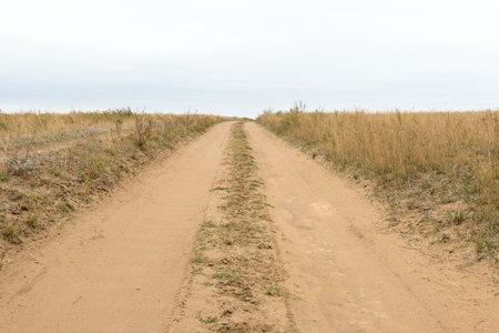 Field unpaved road goes to the horizonの写真素材