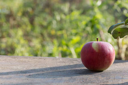 ripe, red apple on the table against the background of the gardenの写真素材