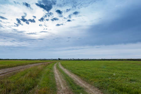 the road to the village through the green fieldの写真素材