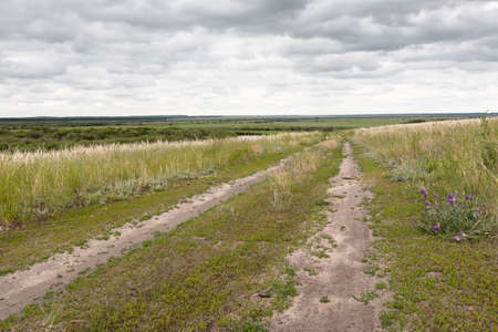 field road on a hill on the plain backgroundの写真素材