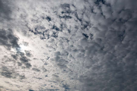 many small fluffy clouds across the skyの写真素材
