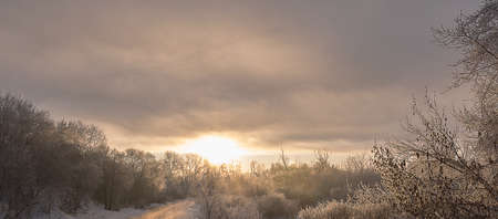winter river shore snow frost on the trees sunriseの写真素材