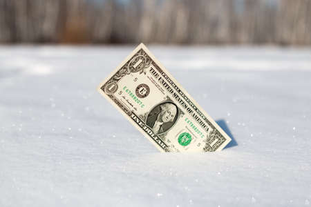 hundred dollars stuck in the white snow close-upの写真素材