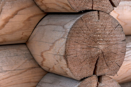 The wall of a wooden house from calibrated logs