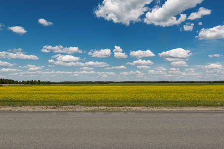 Motorway behind which the blue sky with clouds over the field with yellow flowersの写真素材