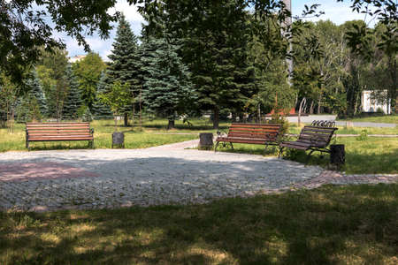 Bench for rest in a park among treesの写真素材
