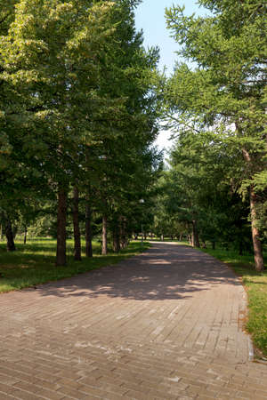 landscaped city park for walking and recreation summerの写真素材