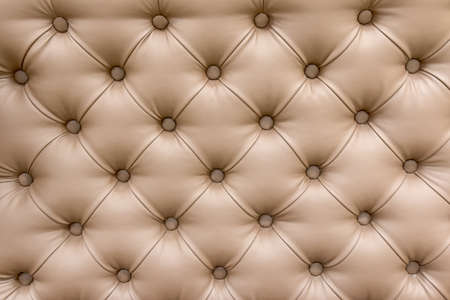 Elegant furniture upholstery in the old styleの写真素材