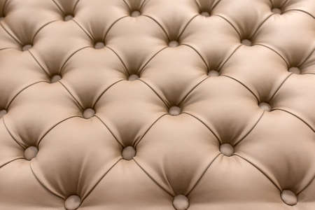 Classic upholstery of the headboard, sofa, chair, wallの写真素材