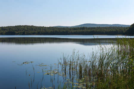 Picturesque view of the shore of a mountain lakeの写真素材