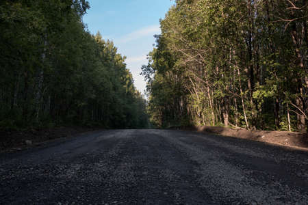 Wide stony forest road among treesの写真素材