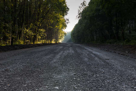 Rays of the sun fall on the forest roadの写真素材