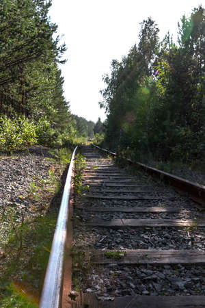 Rails of the railway in the forestの写真素材