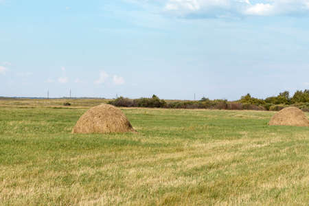 a stack of mown hay standing in the fieldの写真素材