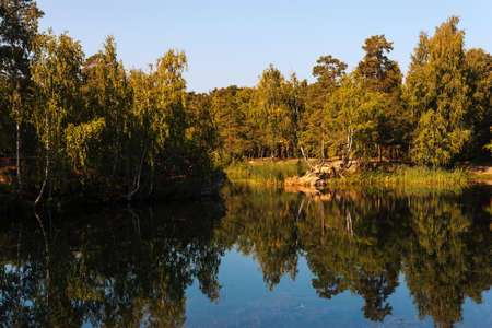 forest by the lake in the rays of sunsetの写真素材