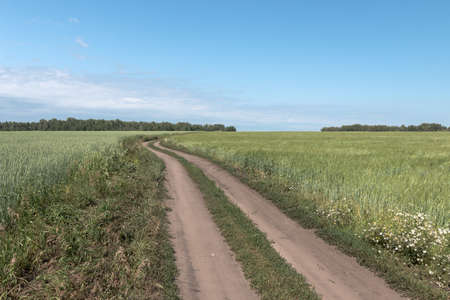 road in the fieldの写真素材