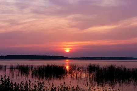 sunset over the lake in summerの写真素材