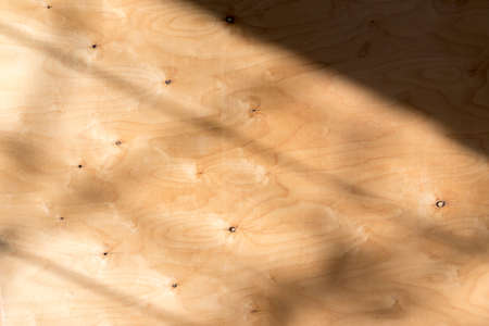 surface of plywood with a picture of a wooden textureの写真素材