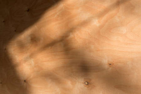 surface of plywood with a picture of a wooden textureの写真素材