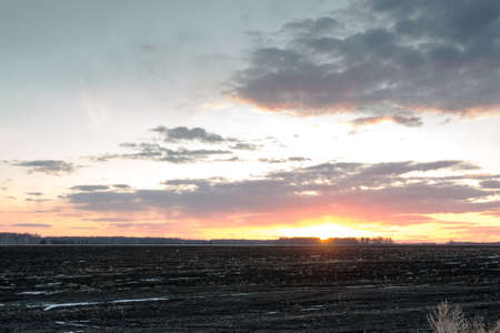 last snow on the field. Completion of winterの写真素材