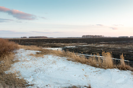 last snow on the field. Completion of winterの写真素材