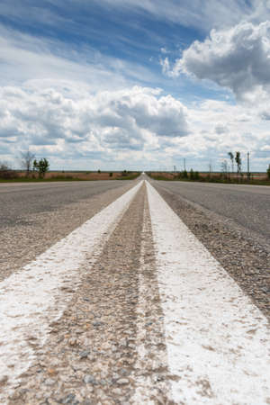 Asphalt road without cars in summerの写真素材