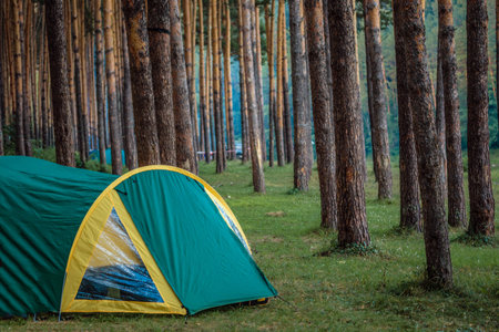 a tourist tent is set in the forest