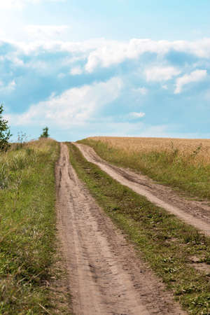 dirt road in a field near the wheat fieldの写真素材