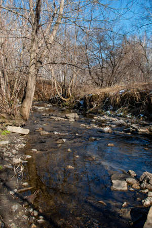 small river with a rocky bottom and fast flowingの写真素材