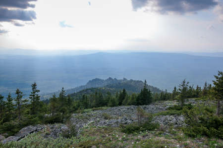 dense, pristine, untouched forest in the highlandsの写真素材