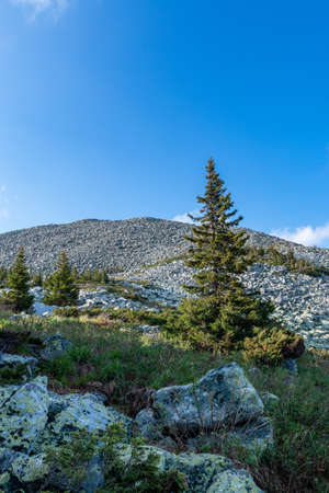 fantastic mountain landscape on a clear summer dayの写真素材